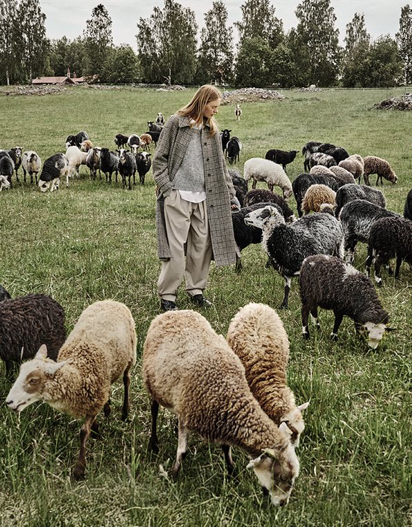 RAGLAN COAT