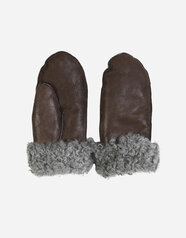 170263_nygardsanna_SHEEPSKIN_MITTENS_GREY-BROWN-MIX_A