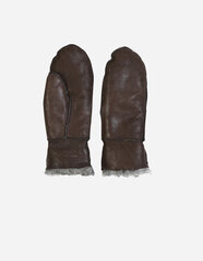 170263_nygardsanna_SHEEPSKIN_MITTENS_GREY-BROWN-MIX_B