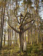 NYGARDSANNA_2026_SS_2291